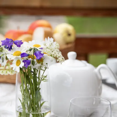 Etoile By Interhome * Nendaz