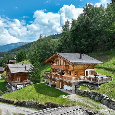 Dağ evi Etoile By Interhome Nendaz