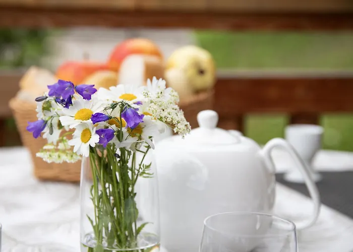 Etoile By Interhome * Nendaz